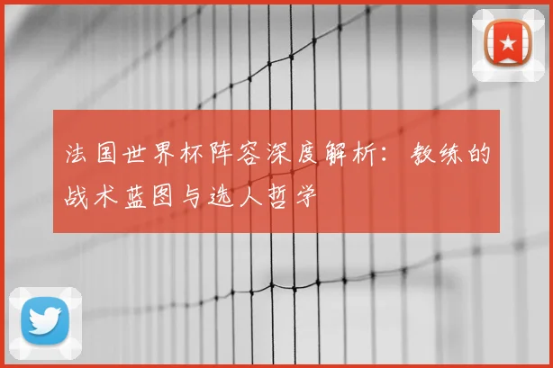 法国世界杯阵容深度解析：教练的战术蓝图与选人哲学