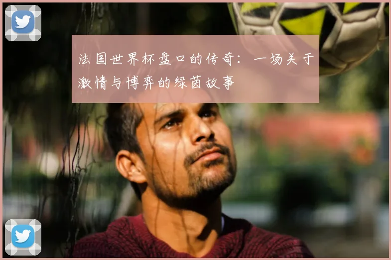 法国世界杯盘口的传奇：一场关于激情与博弈的绿茵故事