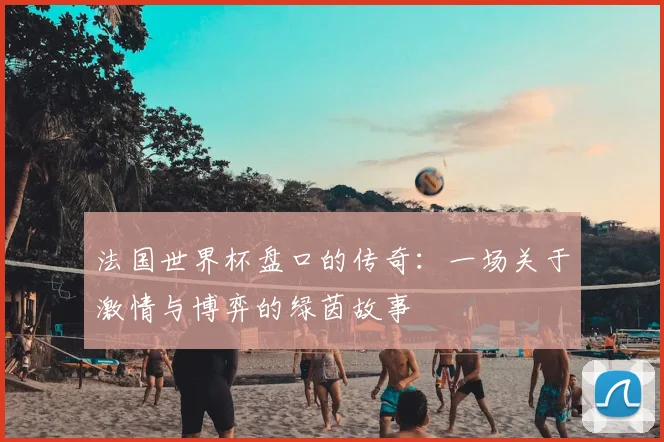 法国世界杯盘口的传奇：一场关于激情与博弈的绿茵故事